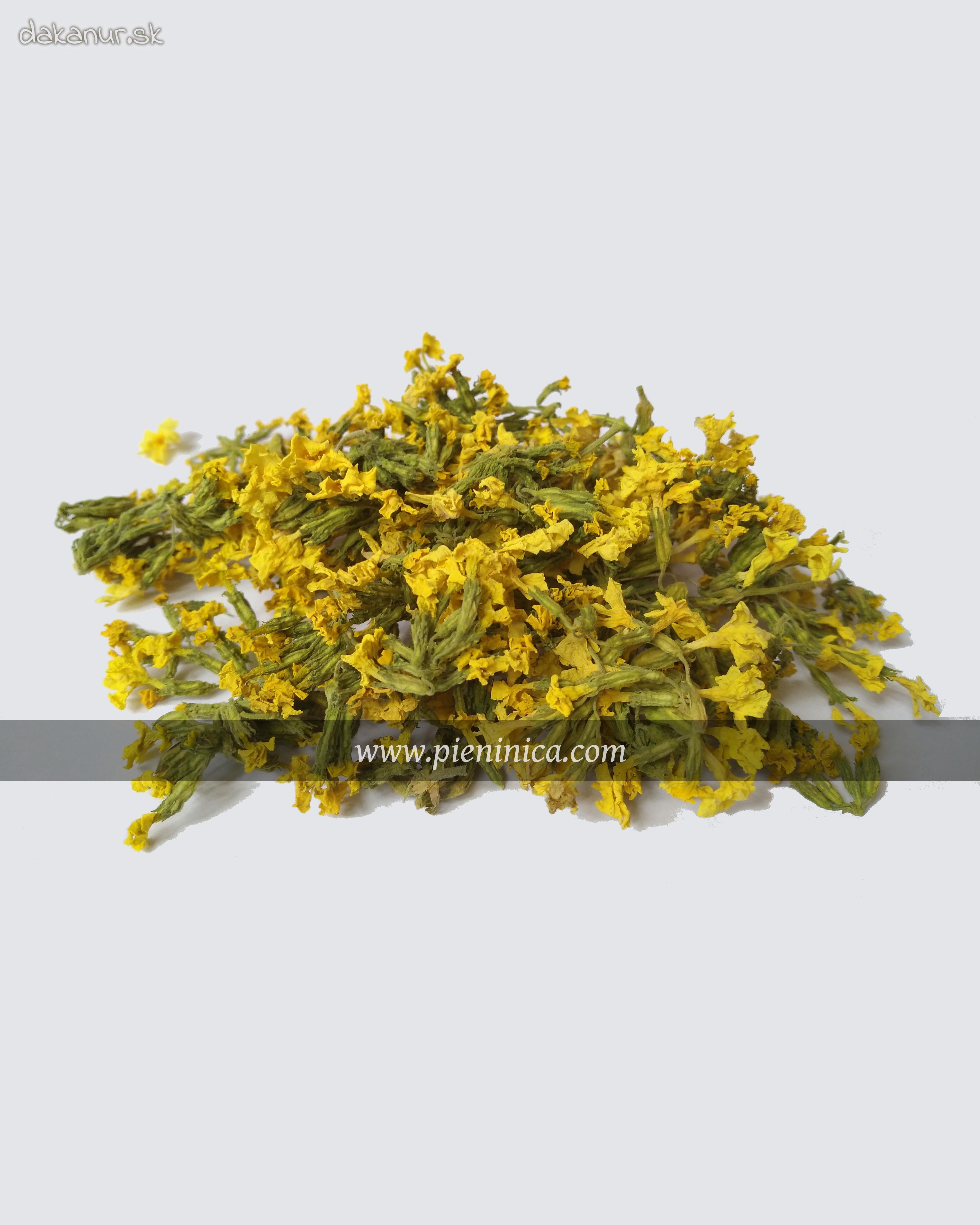 Prvosienka jarná – kvet 20g, Pieninica sušené byliny