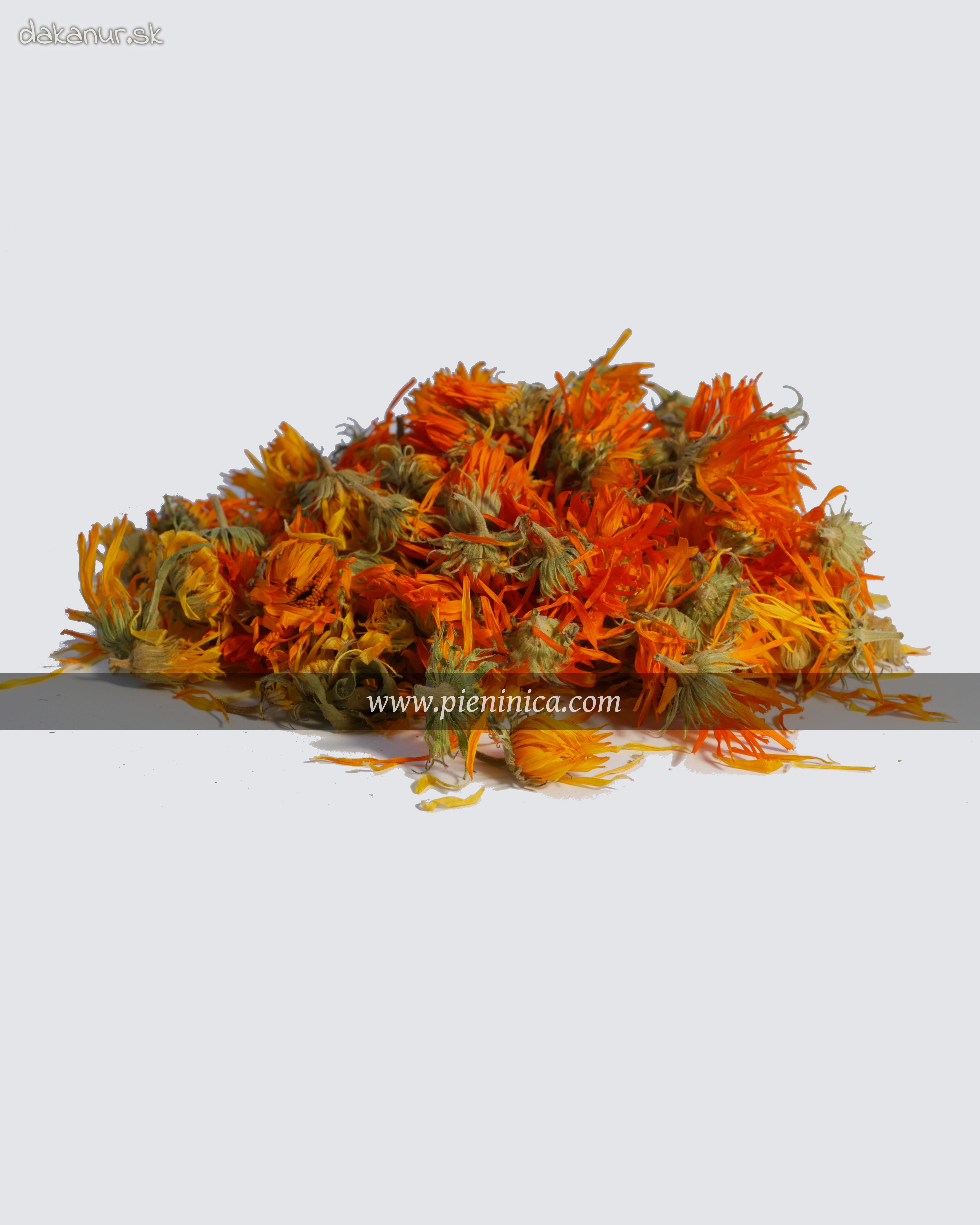 Nechtík lekársky – kvet 30g, Pieninica sušené byliny