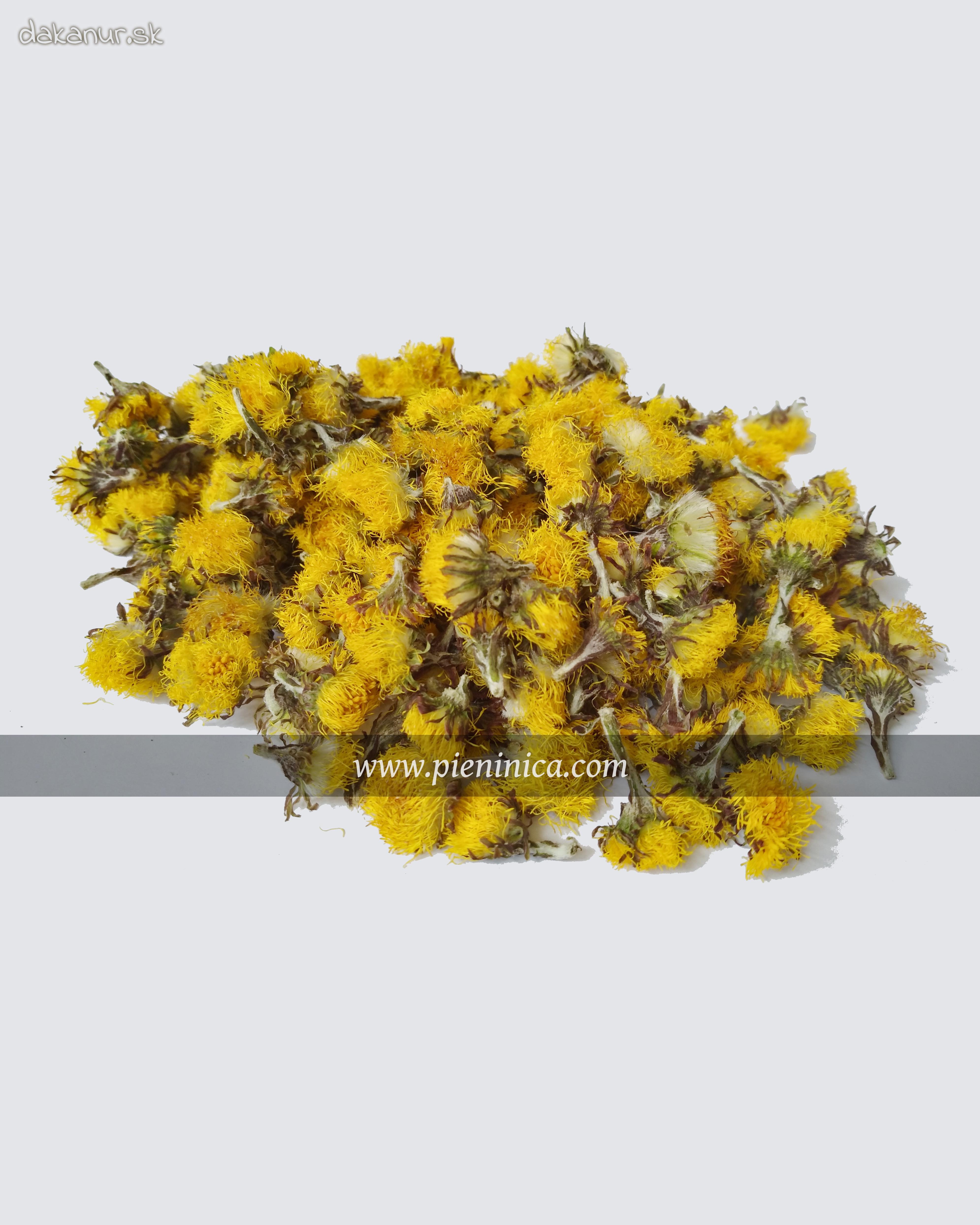 Podbeľ liečivý – kvet 20g, Pieninica sušené byliny