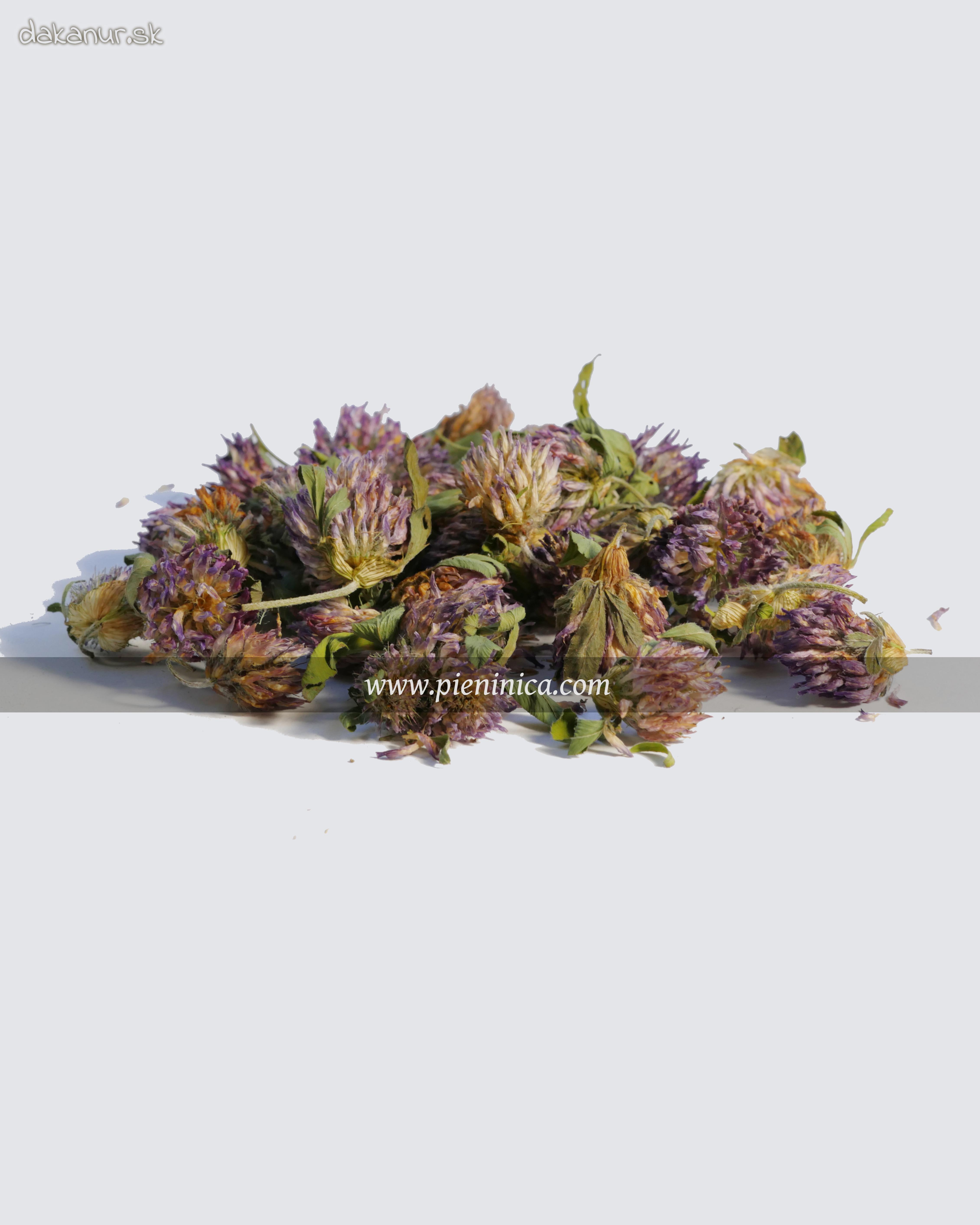 Ďatelina lúčna – kvet 20g, Pieninica sušené byliny