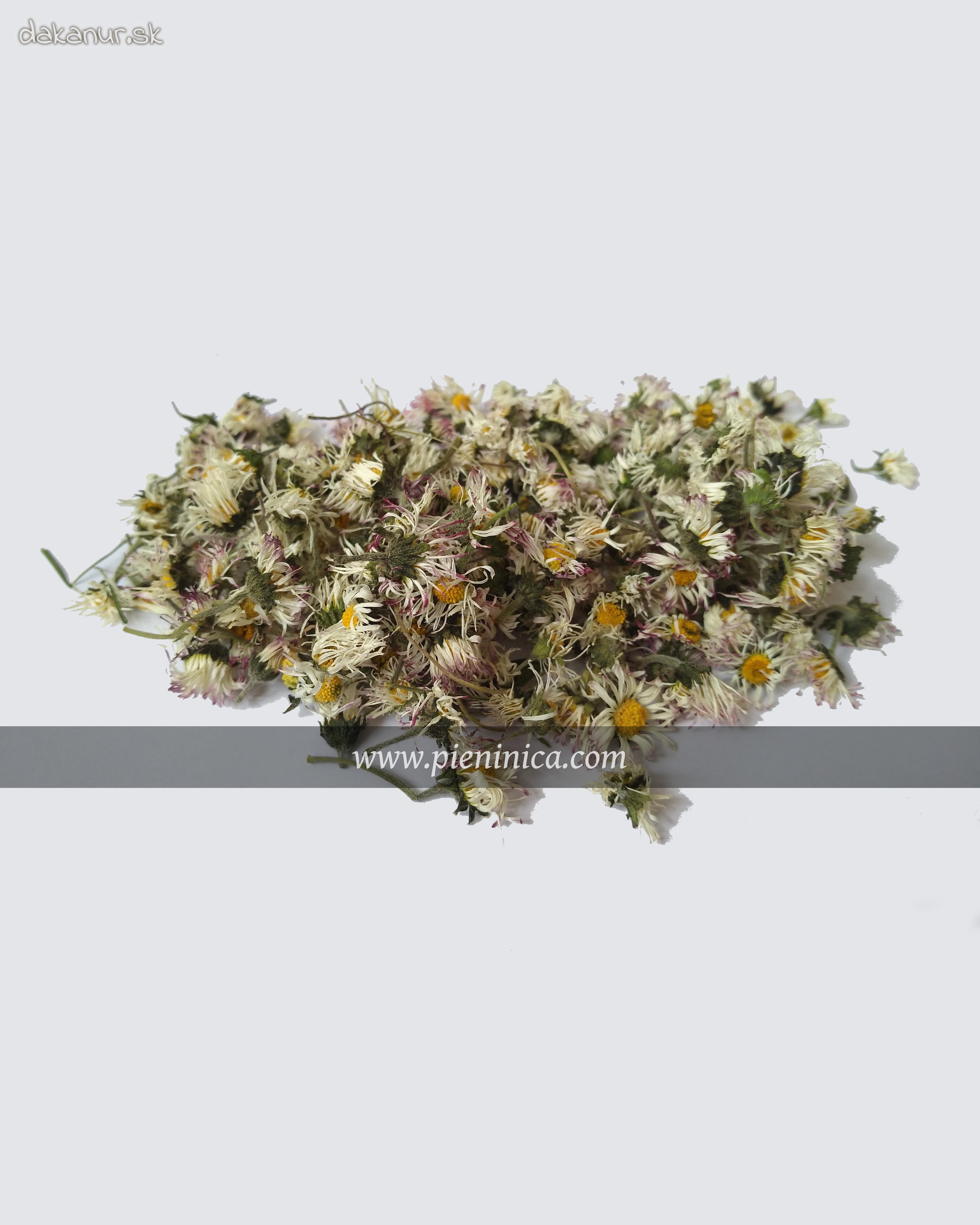Sedmokráska obyčajná – kvet 10g, Pieninica sušené byliny