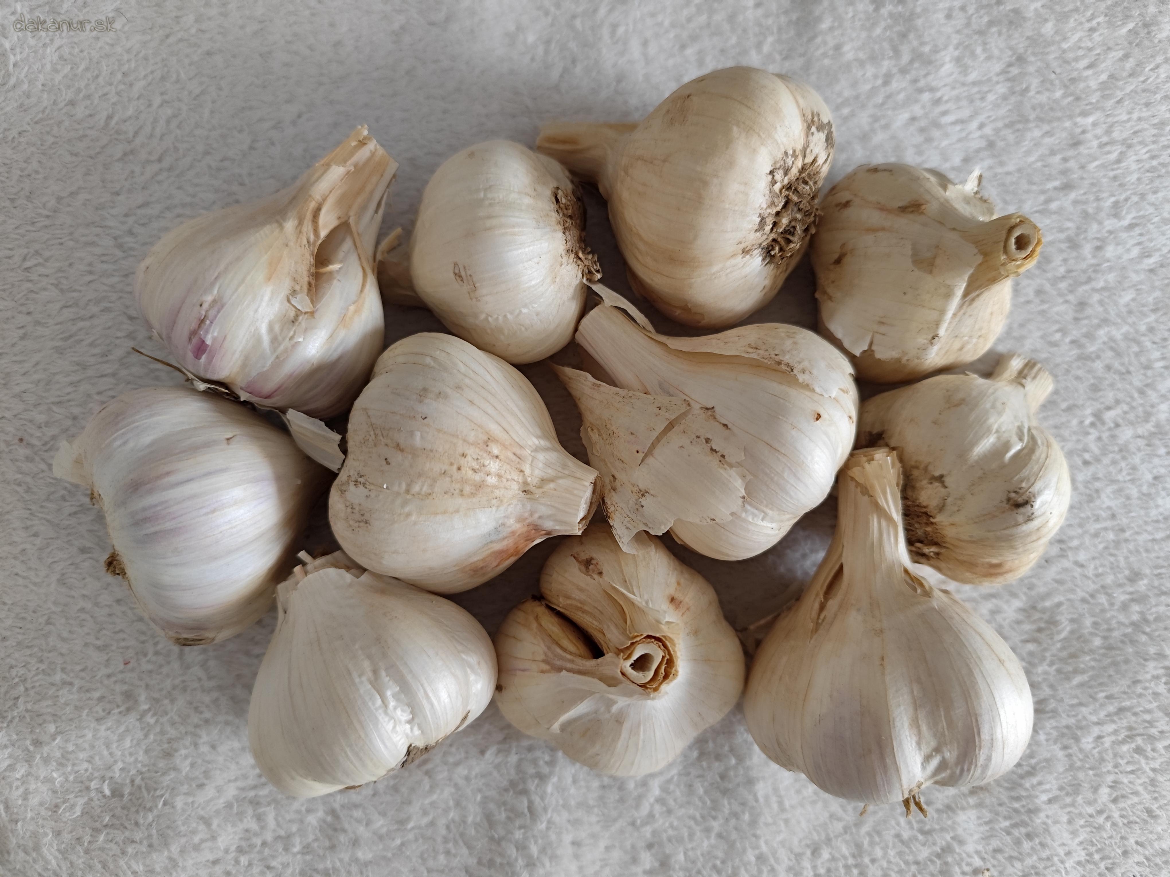 Tradičný kvalitný slovenský cesnak 1kg